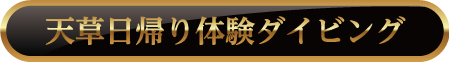 天草日帰り体験ダイビング